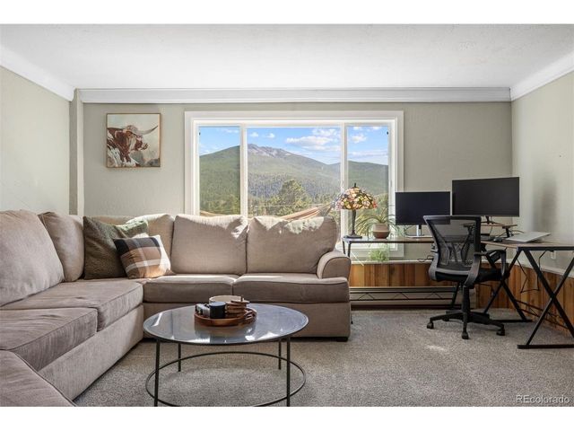 11519 Ranch Elsie Rd, Golden, CO 80403
