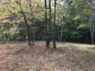 103-B Bluffview Drive 103-B, Dunlap, TN 37327