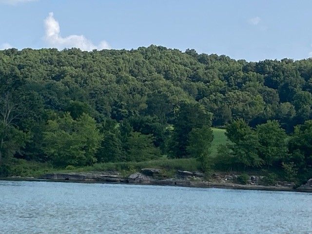 14889 HWY 311 Highway, Green Forest, AR 72638