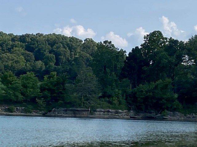 14889 HWY 311 Highway, Green Forest, AR 72638