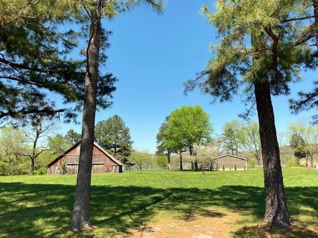 14889 HWY 311 Highway, Green Forest, AR 72638