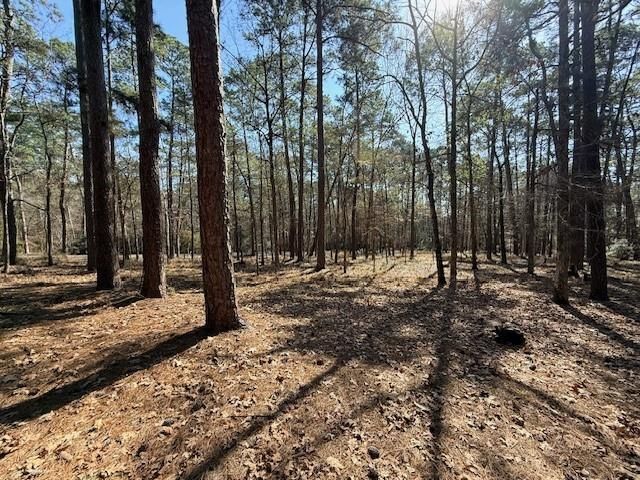7 Altwood Drive, Coldspring, TX 77331