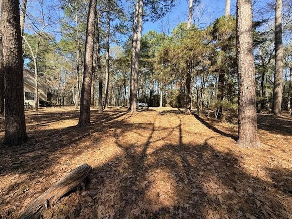 7 Altwood Drive, Coldspring, TX 77331
