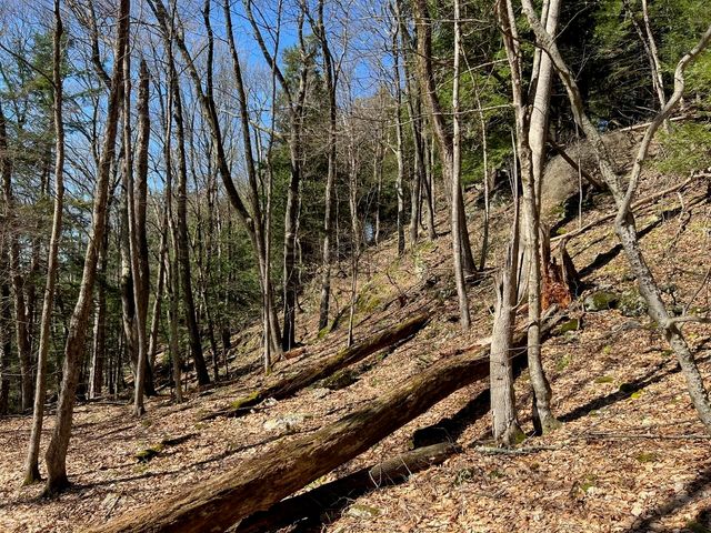 307 South Street, Middletown Springs, VT 05757