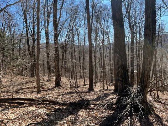 307 South Street, Middletown Springs, VT 05757