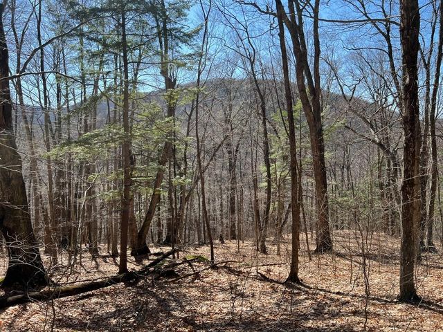 307 South Street, Middletown Springs, VT 05757