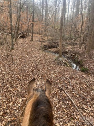 3205 Collinsville Road, Columbus, NC 28722