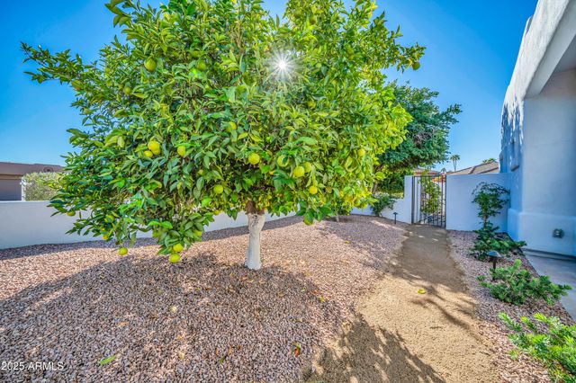 25810 N ABAJO Drive, Rio Verde, AZ 85263