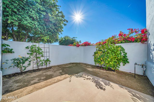 25810 N ABAJO Drive, Rio Verde, AZ 85263