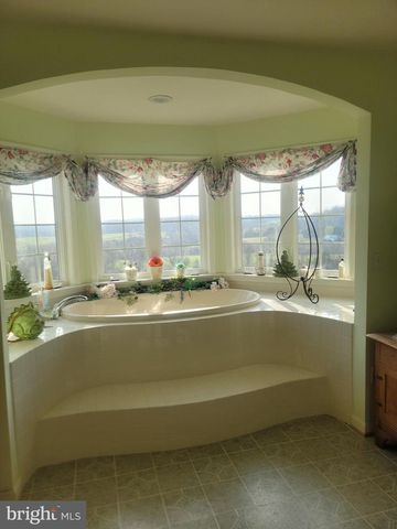 9471 LITTLE SKYLINE DR, Orange, VA 22960