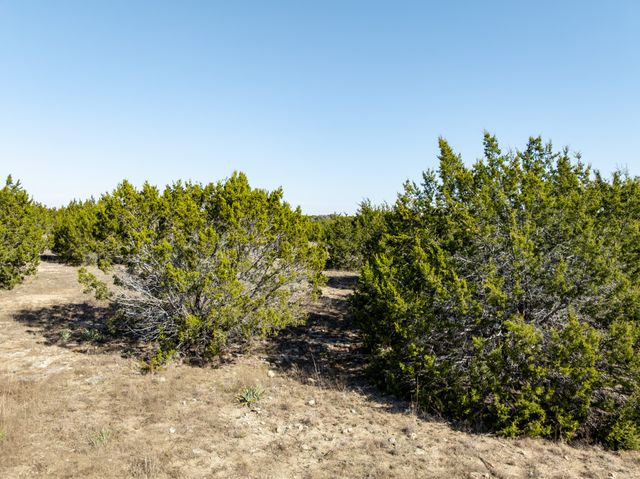 1141 Pitchfork Ranch Road, Copperas Cove, TX 76522