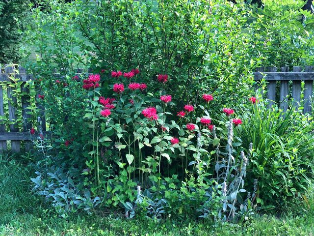 8402 Tanager Lane, Indianapolis, IN 46256