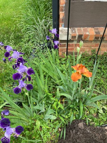 8402 Tanager Lane, Indianapolis, IN 46256