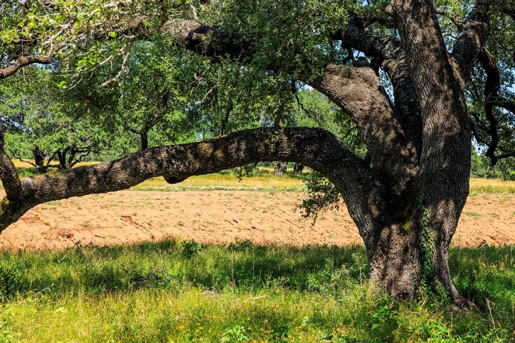 3736-5 County Road 113 RD, Llano, TX 78643