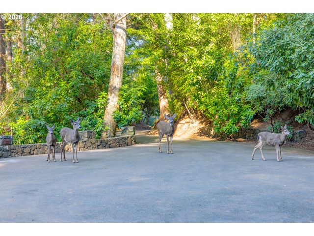 94442 CARLSON HEIGHTS Ln, North Bend, OR 97459