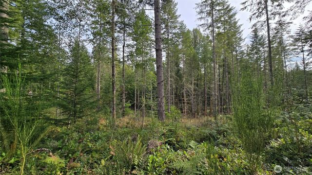 27009 170th Street E, Buckley, WA 98321