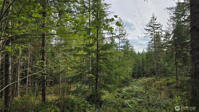27009 170th Street E, Buckley, WA 98321