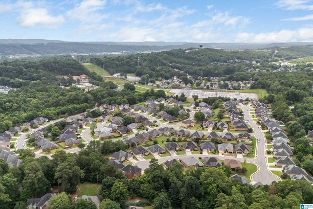 217 BEAVER CREST CIRCLE, Pelham, AL 35124