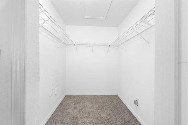 7924 CARRIAGE POINTE DRIVE, Gibsonton, FL 33534