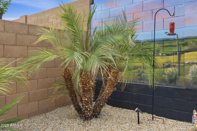14616 W Larkspur Drive, Surprise, AZ 85379