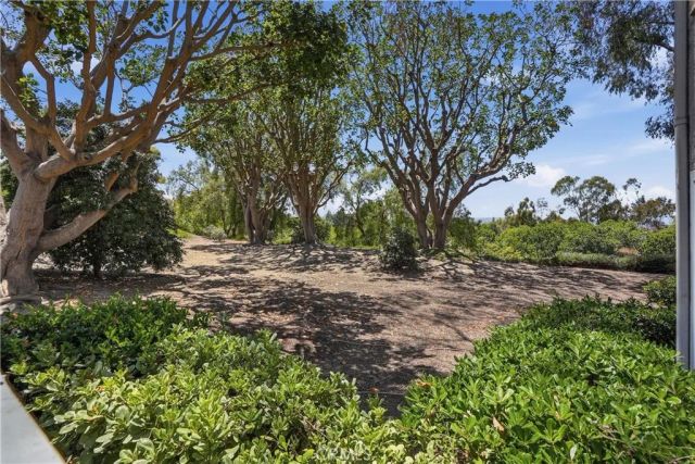 29121 Via Cerrito, Laguna Niguel, CA 92677