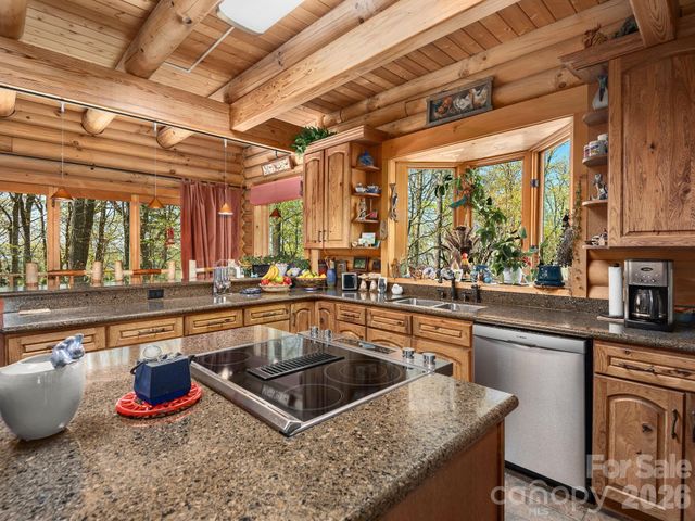 1036 Forces Of Nature Trail, Mars Hill, NC 28754