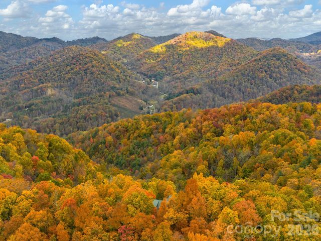 1036 Forces Of Nature Trail, Mars Hill, NC 28754