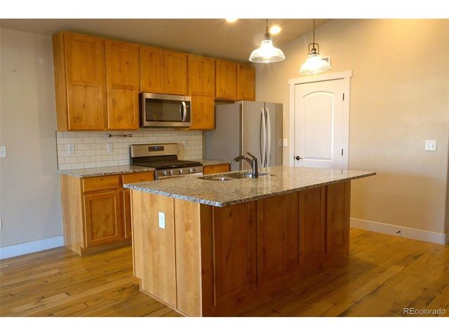 1113 Bison Way, Wiggins, CO 80654