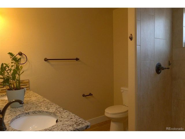 1113 Bison Way, Wiggins, CO 80654