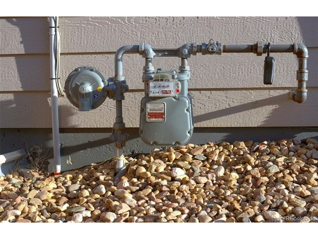 1113 Bison Way, Wiggins, CO 80654