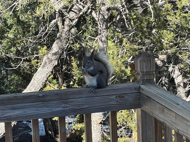 14 Teypana Drive, Tijeras, NM 87059