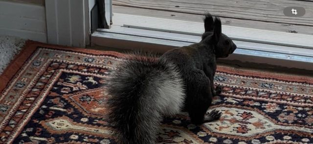 14 Teypana Drive, Tijeras, NM 87059