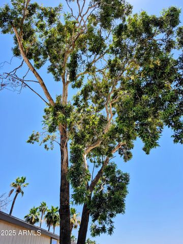 7920 W GLENDALE Avenue 39, Glendale, AZ 85303