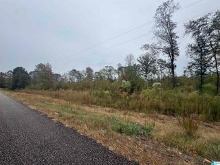 COUNTY ROAD 104, Roanoke, AL 36274