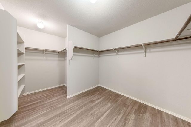 1811 Conn Creek RD, Cedar Park, TX 78613