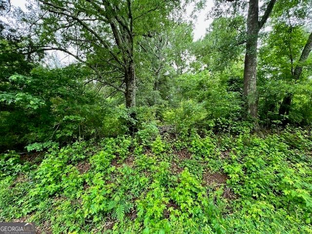 1115 Indian Creek Road, Locust Grove, GA 30248
