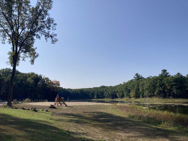 4141 Mockingbird Circle, Farwell, MI 48622