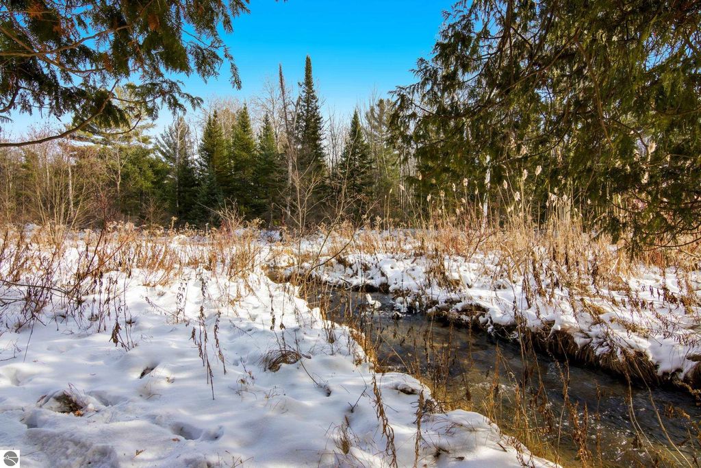 Image 35 of property listing at 5349 Grass River Road, Bellaire, MI 49615