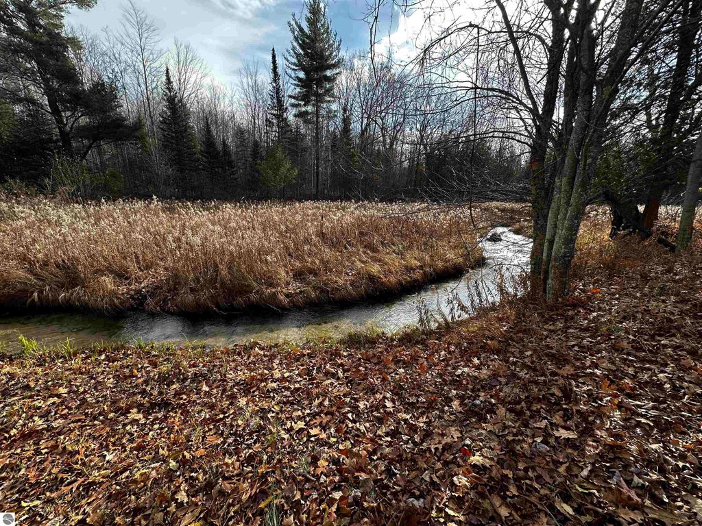 Image 46 of property listing at 5349 Grass River Road, Bellaire, MI 49615