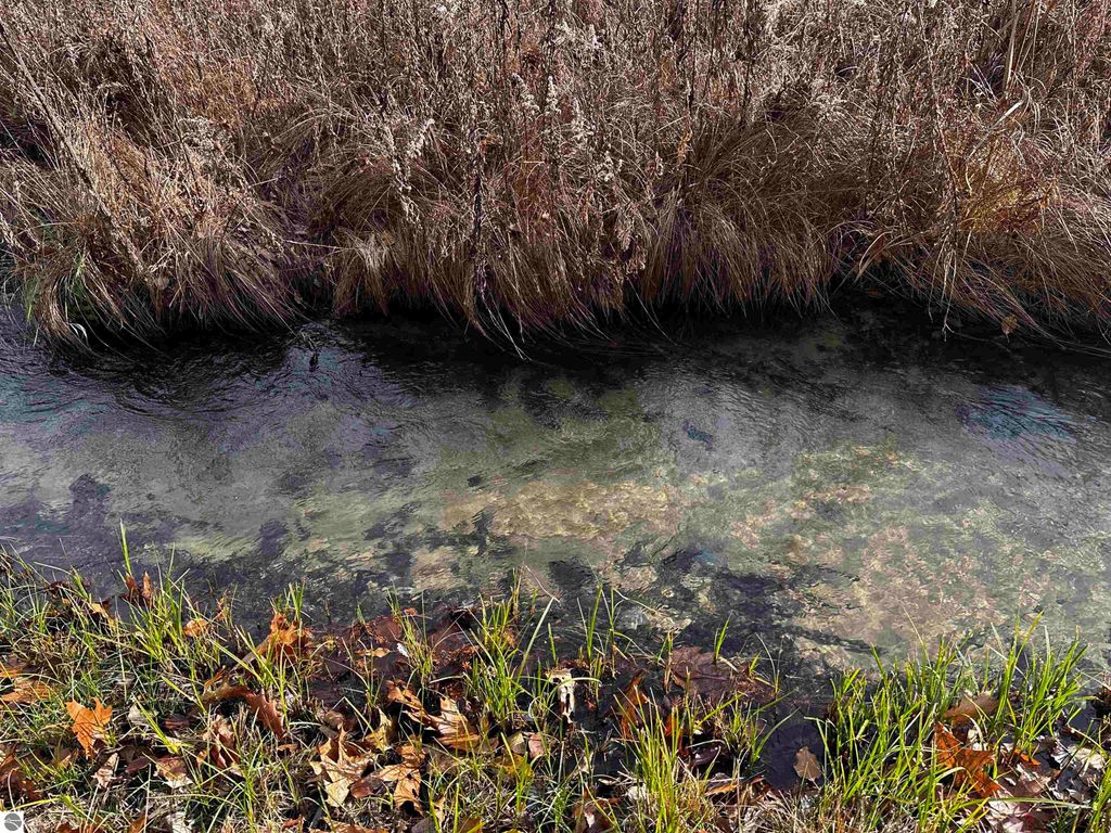 Image 47 of property listing at 5349 Grass River Road, Bellaire, MI 49615