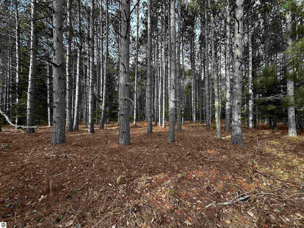 Image 50 of property listing at 5349 Grass River Road, Bellaire, MI 49615