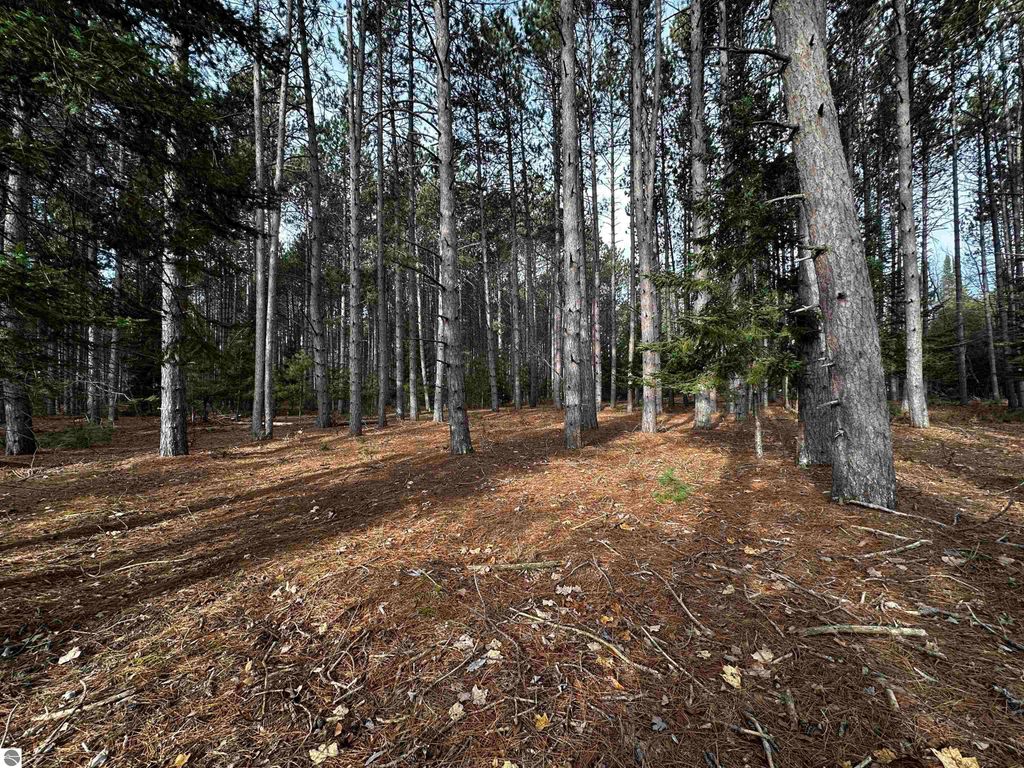 Image 51 of property listing at 5349 Grass River Road, Bellaire, MI 49615