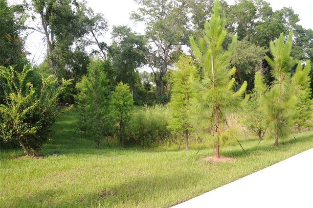 4343 CAMBIO GARDENS COURT, Tampa, FL 33610