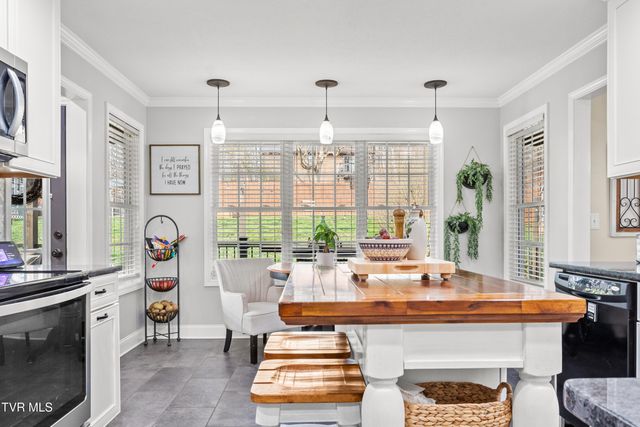 174 Cindy Anne Drive, Gray, TN 37615