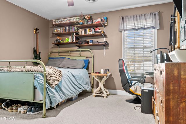 174 Cindy Anne Drive, Gray, TN 37615