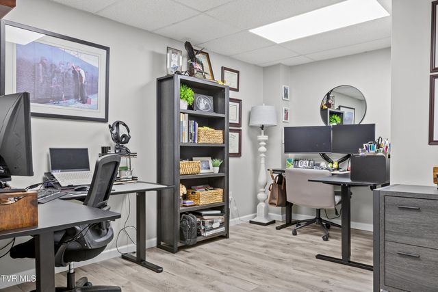 174 Cindy Anne Drive, Gray, TN 37615