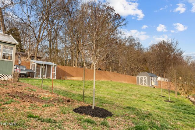 174 Cindy Anne Drive, Gray, TN 37615