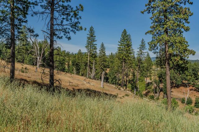 8133 West Old Emigrant Trl, Mountain Ranch, CA 95246