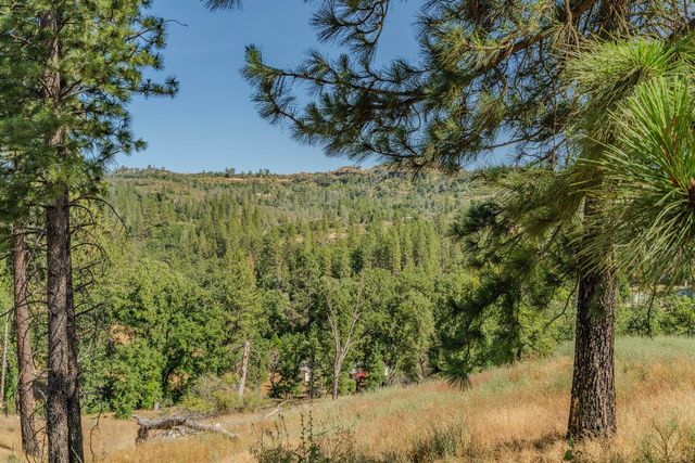 8133 West Old Emigrant Trl, Mountain Ranch, CA 95246