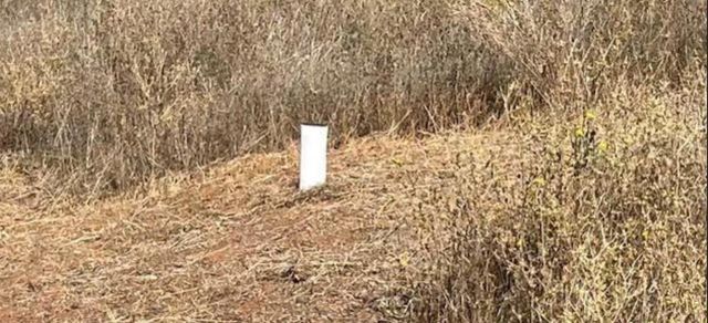 8133 West Old Emigrant Trl, Mountain Ranch, CA 95246